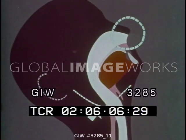 preview clip thumb