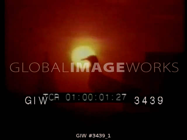 preview clip thumb