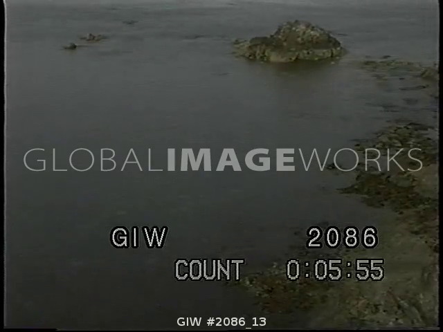 preview clip thumb