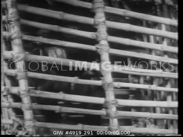 preview clip thumb